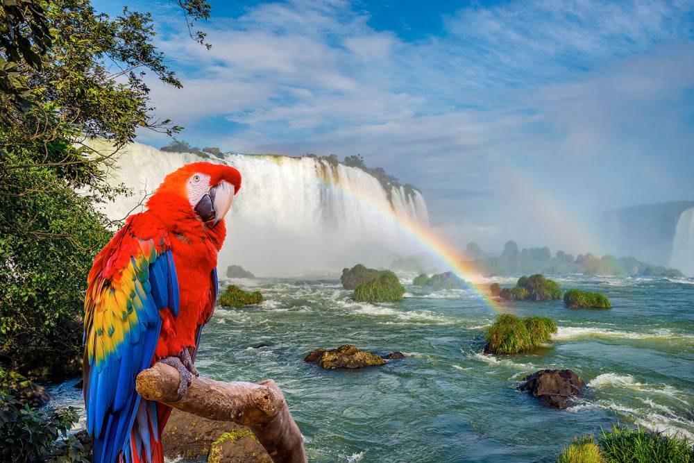 Cataratas do Iguaçu + Parque das Aves